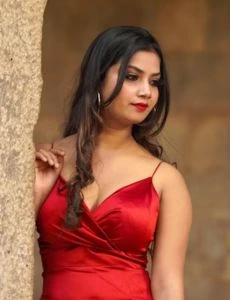 call girl service in Shastri Colony